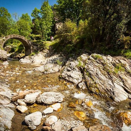 Transgardon B&B En Cevennes Saint-Privat-de-Vallongue ภายนอก รูปภาพ