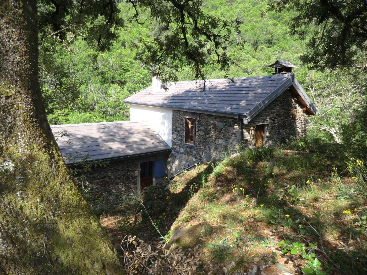Transgardon B&B En Cevennes Saint-Privat-de-Vallongue ภายนอก รูปภาพ