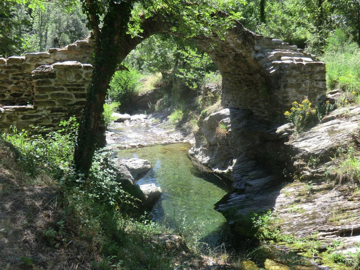 Transgardon B&B En Cevennes Saint-Privat-de-Vallongue ภายนอก รูปภาพ