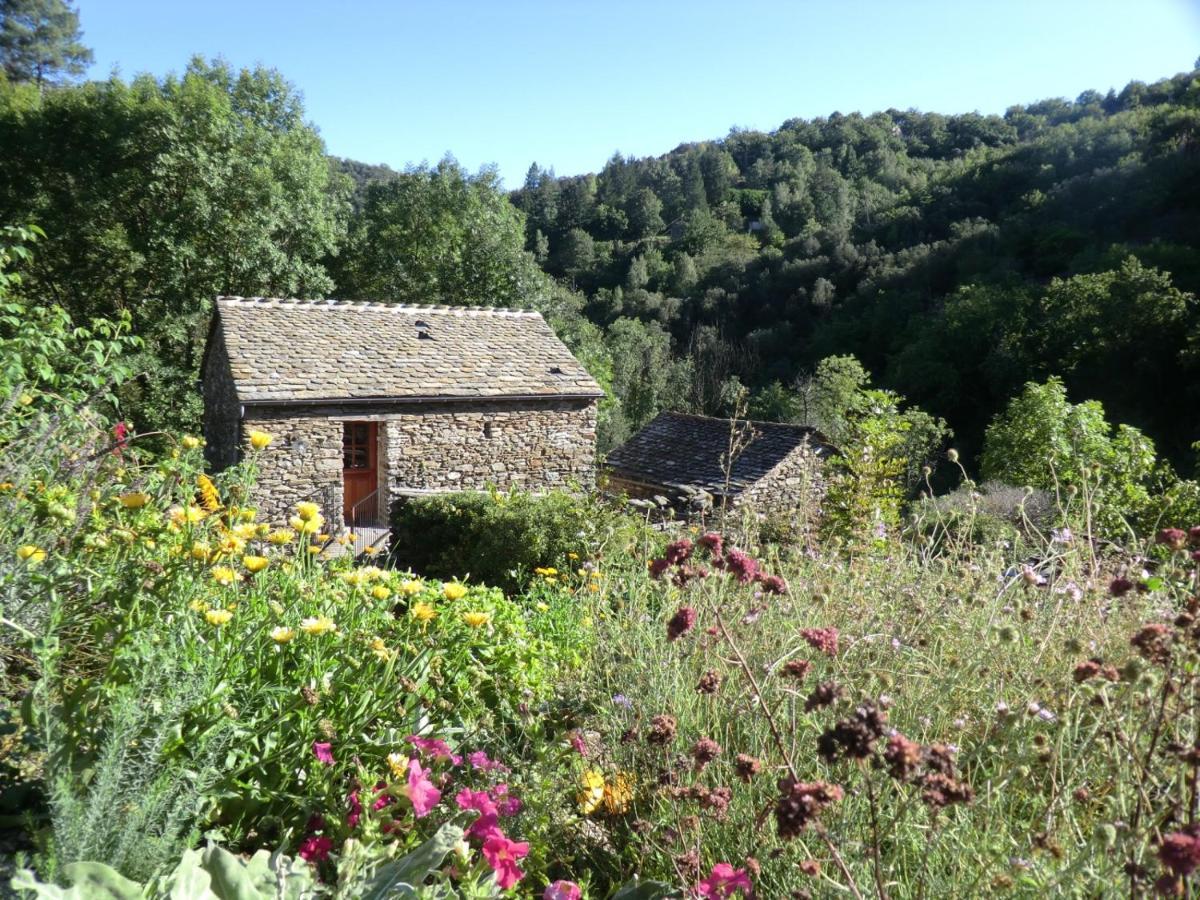 Transgardon B&B En Cevennes Saint-Privat-de-Vallongue ภายนอก รูปภาพ